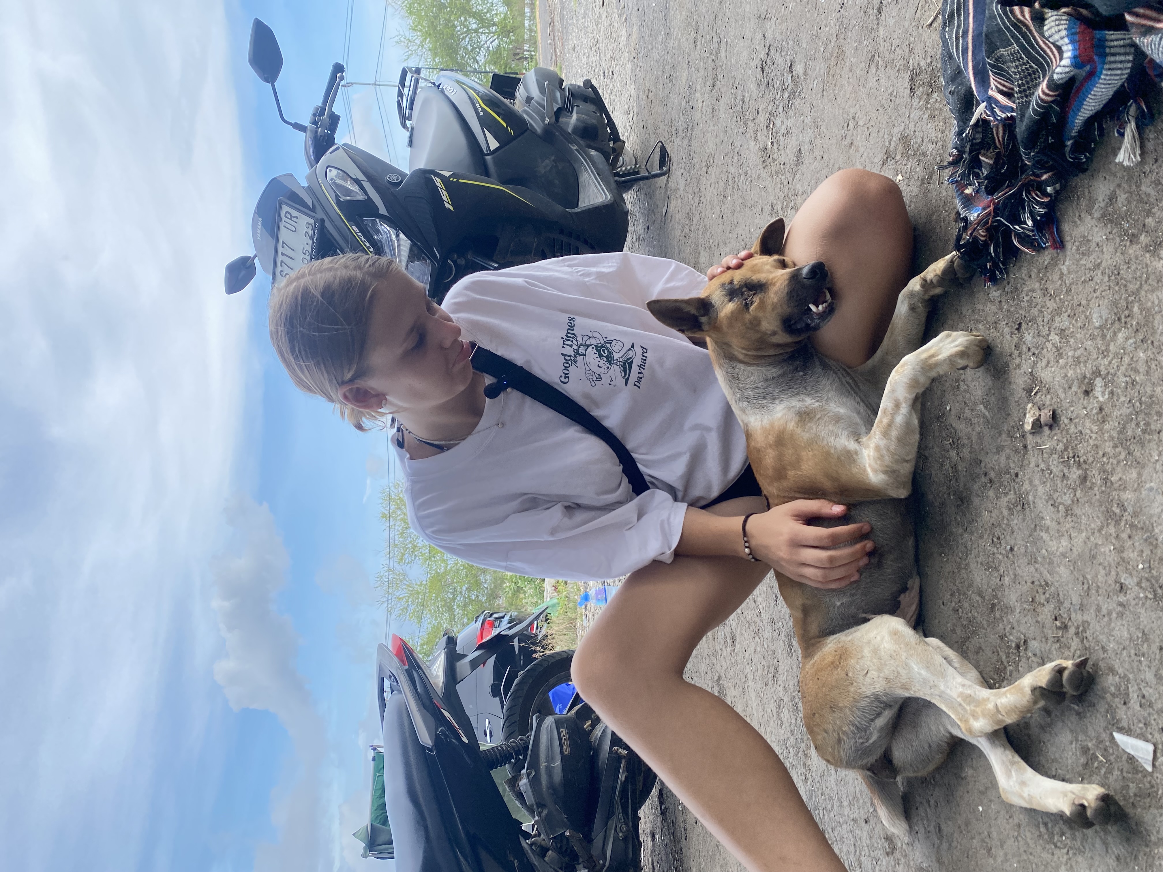 Linus 🖤 – zur Adoption