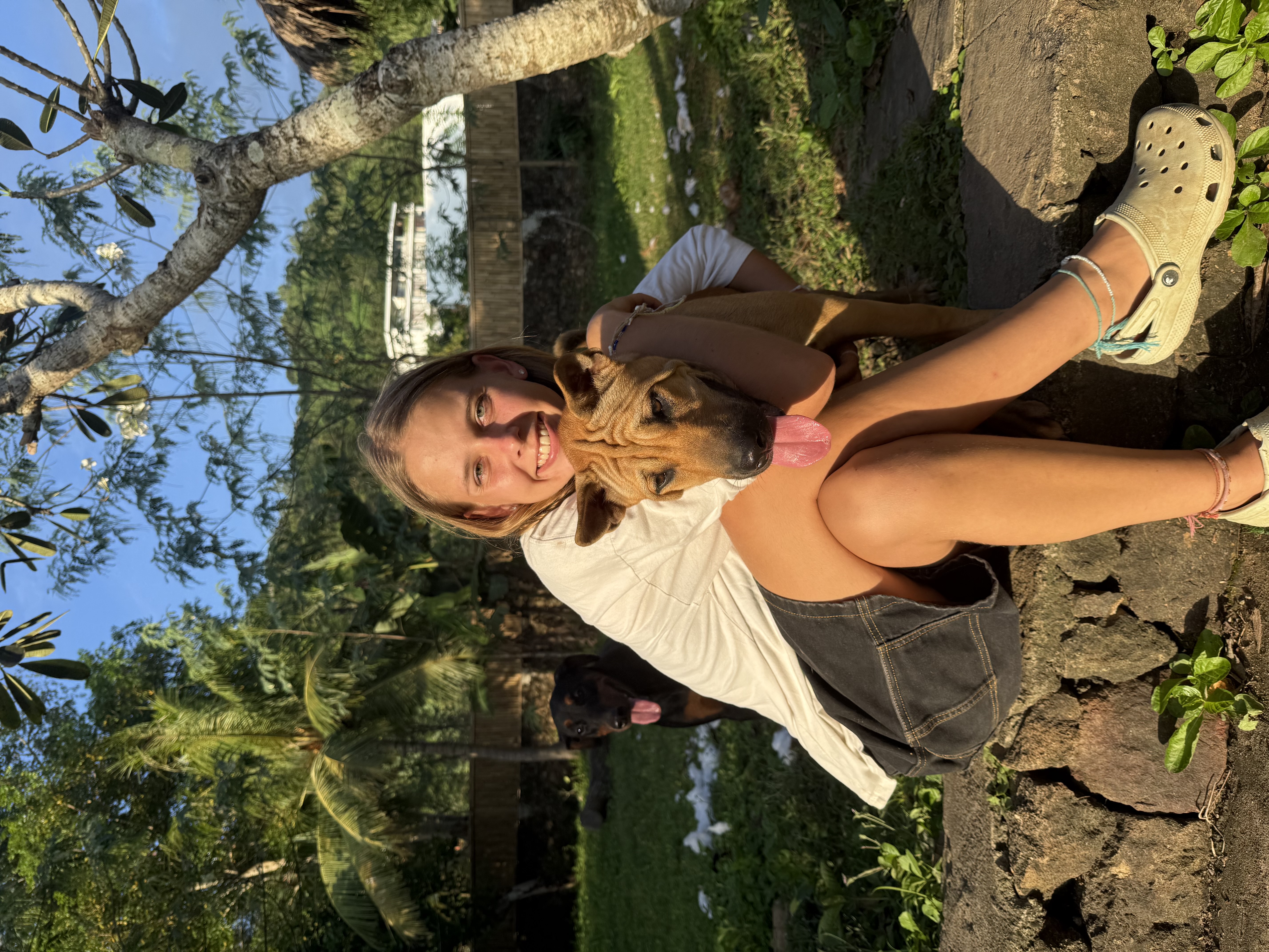 Kiki 🧡 – zur Adoption
