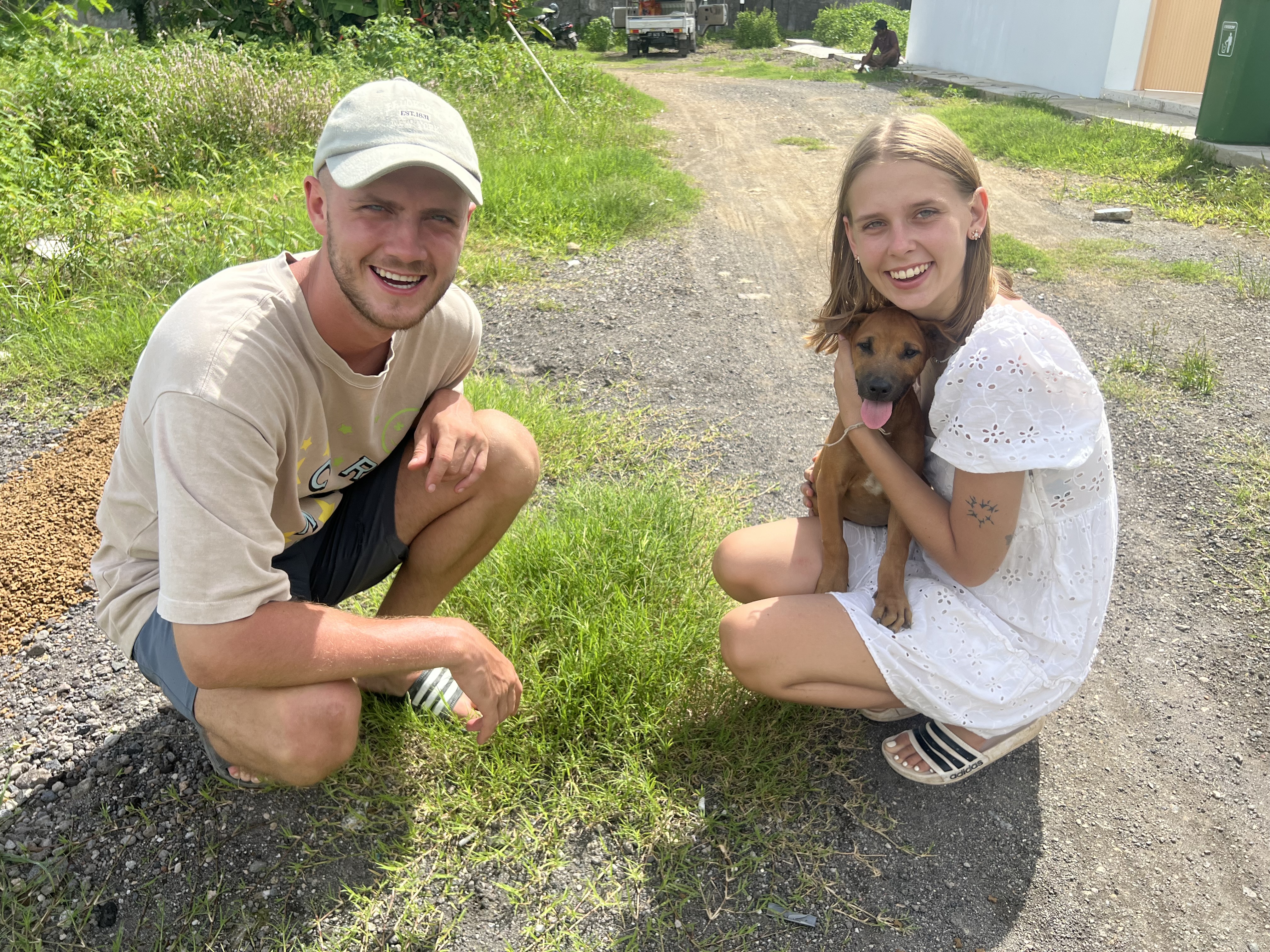 Freddy 💚 – zur Adoption